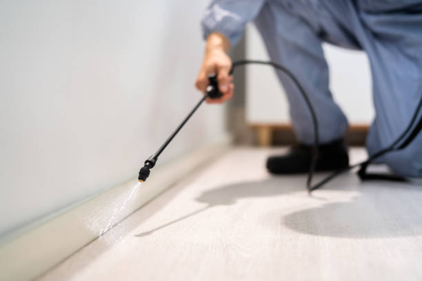 Licensed Termite Control service in McLendon-Chisholm, TX - Nex Pest Control