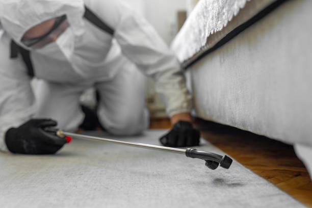 Professional Termite Control technician working in McLendon-Chisholm, TX