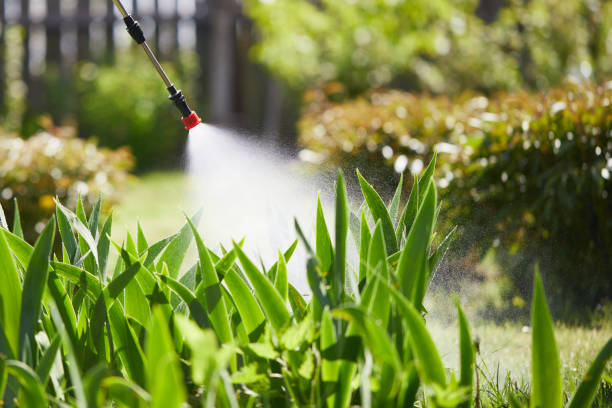24/7 Emergency Termite Control experts in McLendon-Chisholm, TX