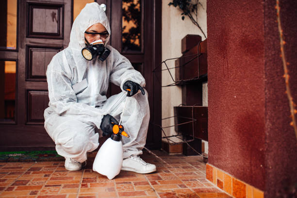Reliable Termite Control contractor in McLendon-Chisholm, TX by Nex Pest Control