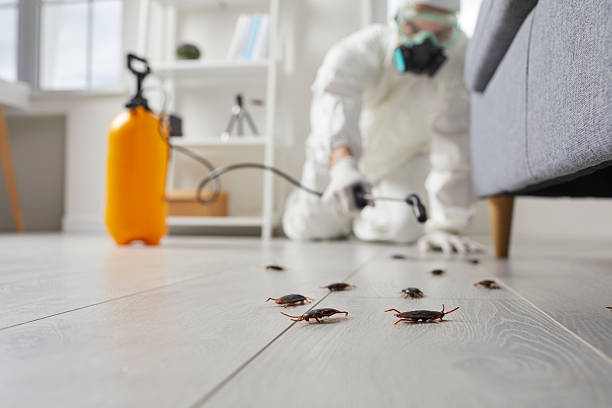 Trusted Fumigation Services service in McLendon-Chisholm, TX - Nex Pest Control
