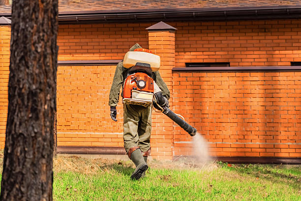 Trusted Rodent Control service in McLendon-Chisholm, TX - Nex Pest Control